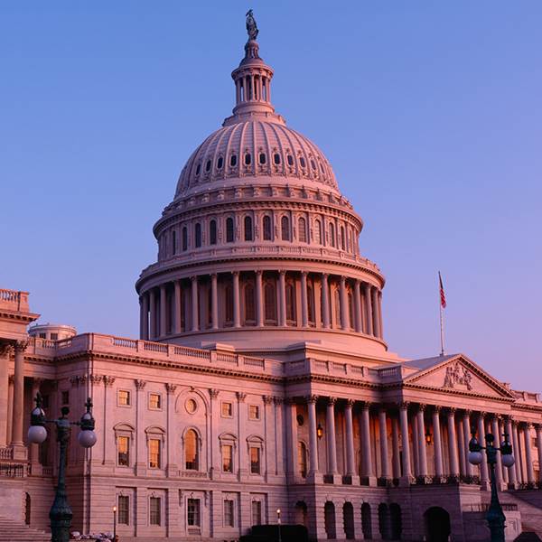 Government image
